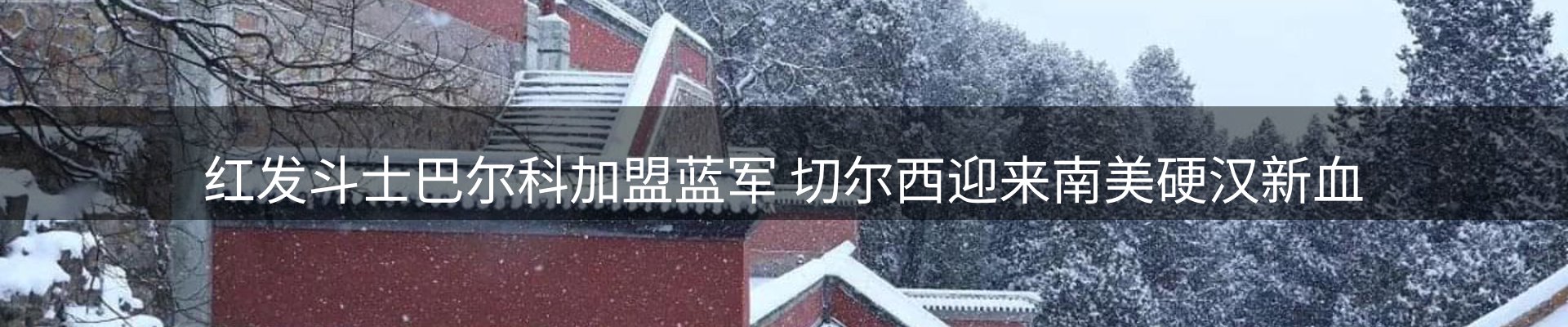 品牌资讯